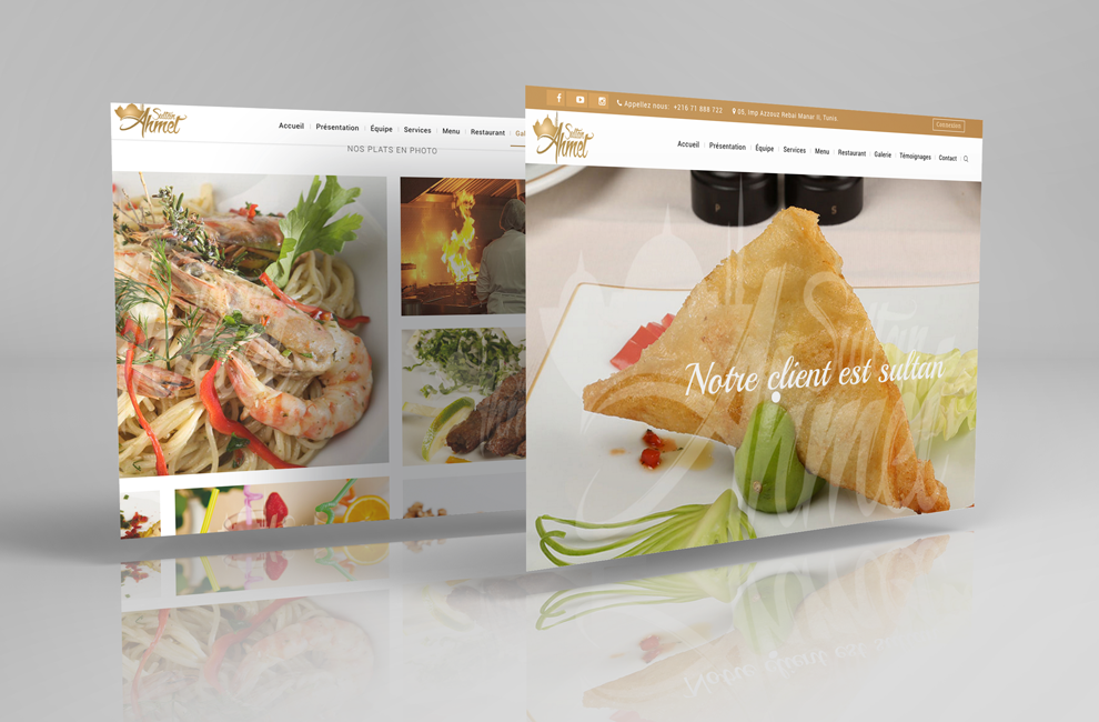 Dozane developpement web site sultan ahmet